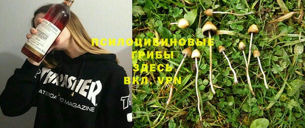 каннабис Арсеньев