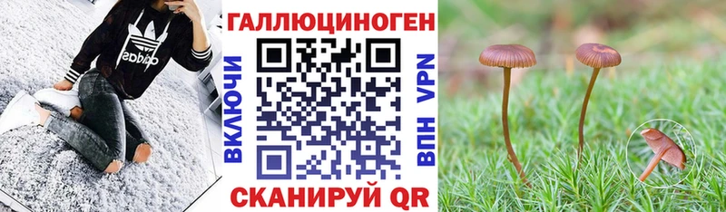 Псилоцибиновые грибы ЛСД  сколько стоит  Собинка 
